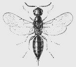 Opening Pandora's Box